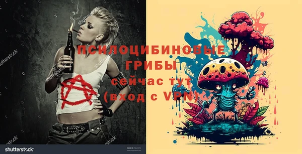 твердый Алзамай