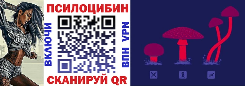 Галлюциногенные грибы Cubensis  Калтан 